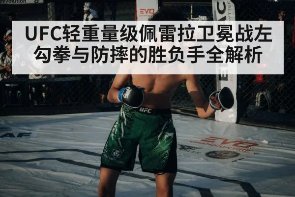 UFC octagon cage fight